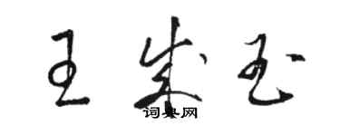 駱恆光王成玉草書個性簽名怎么寫