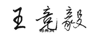 駱恆光王競毅行書個性簽名怎么寫