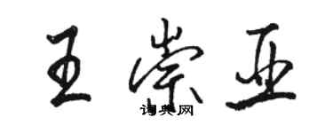 駱恆光王崇亞行書個性簽名怎么寫