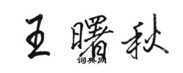 駱恆光王曙秋行書個性簽名怎么寫