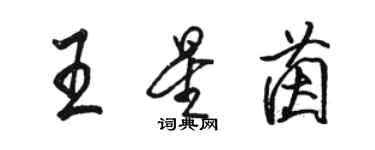 駱恆光王星茵行書個性簽名怎么寫