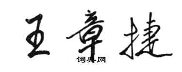 駱恆光王章捷行書個性簽名怎么寫