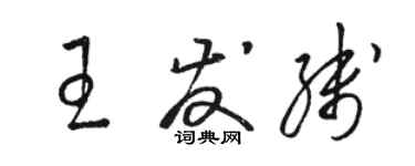 駱恆光王發線草書個性簽名怎么寫