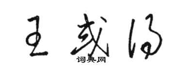 駱恆光王或得草書個性簽名怎么寫