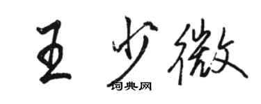 駱恆光王少微行書個性簽名怎么寫