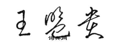 駱恆光王盟貴草書個性簽名怎么寫