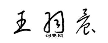 梁錦英王羽晨草書個性簽名怎么寫