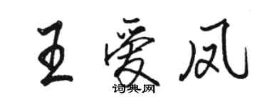 駱恆光王愛鳳行書個性簽名怎么寫