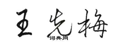 駱恆光王先梅行書個性簽名怎么寫