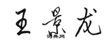 駱恆光王景龍行書個性簽名怎么寫