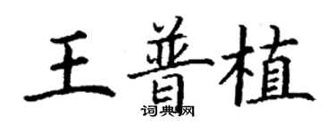 丁謙王普植楷書個性簽名怎么寫