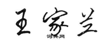 駱恆光王家蘭行書個性簽名怎么寫