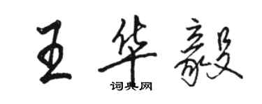 駱恆光王華毅行書個性簽名怎么寫