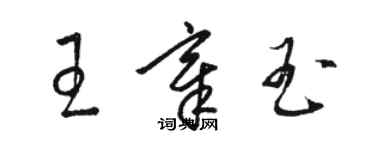 駱恆光王章玉草書個性簽名怎么寫