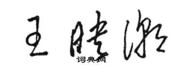 駱恆光王映潮草書個性簽名怎么寫