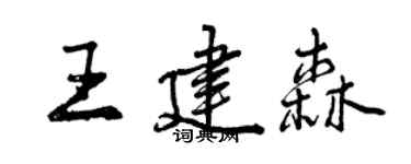 曾慶福王建森行書個性簽名怎么寫