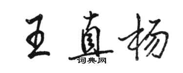 駱恆光王直楊行書個性簽名怎么寫