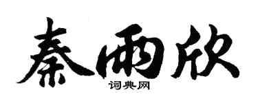 胡問遂秦雨欣行書個性簽名怎么寫