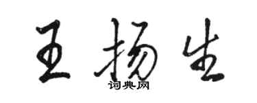 駱恆光王揚生行書個性簽名怎么寫