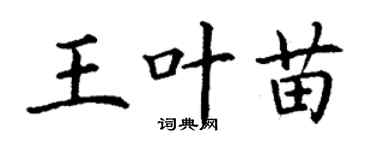 丁謙王葉苗楷書個性簽名怎么寫