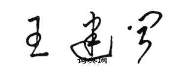 駱恆光王建聞草書個性簽名怎么寫