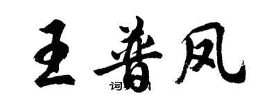 胡問遂王普鳳行書個性簽名怎么寫