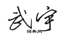 駱恆光武宇行書個性簽名怎么寫