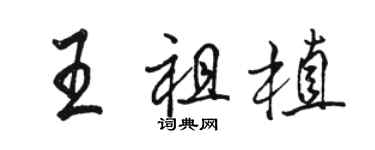 駱恆光王祖植行書個性簽名怎么寫