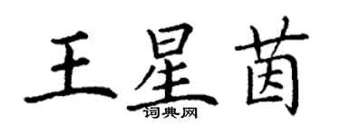 丁謙王星茵楷書個性簽名怎么寫