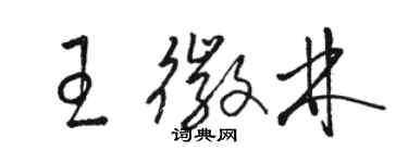 駱恆光王徽林草書個性簽名怎么寫