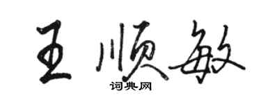 駱恆光王順敏行書個性簽名怎么寫