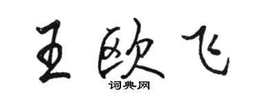 駱恆光王歐飛行書個性簽名怎么寫