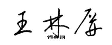 梁錦英王林屏草書個性簽名怎么寫