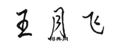 駱恆光王月飛行書個性簽名怎么寫