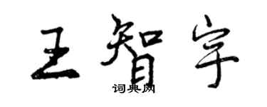 曾慶福王智宇行書個性簽名怎么寫