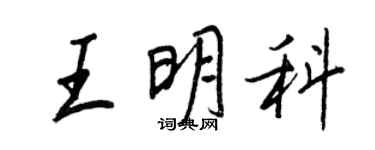 王正良王明科行書個性簽名怎么寫