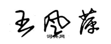 朱錫榮王風萍草書個性簽名怎么寫