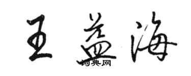 駱恆光王益海行書個性簽名怎么寫