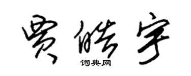 朱錫榮賈皓宇草書個性簽名怎么寫