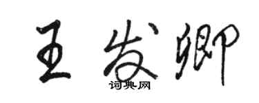 駱恆光王發卿行書個性簽名怎么寫