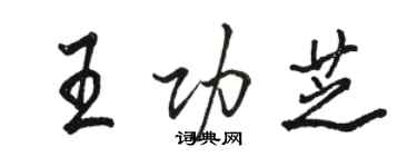 駱恆光王功芝行書個性簽名怎么寫