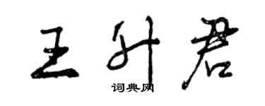 曾慶福王升君行書個性簽名怎么寫