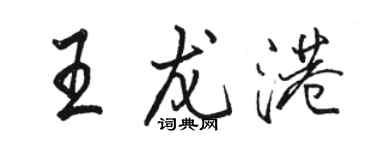 駱恆光王龍港行書個性簽名怎么寫