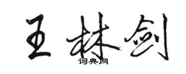 駱恆光王林劍行書個性簽名怎么寫