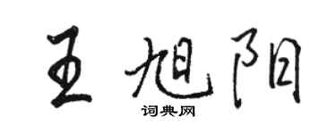 駱恆光王旭陽行書個性簽名怎么寫