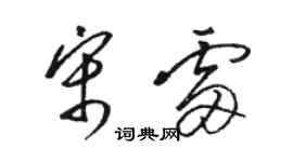 駱恆光宋雷草書個性簽名怎么寫