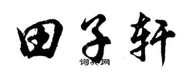 胡問遂田子軒行書個性簽名怎么寫