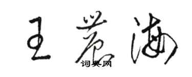 駱恆光王農海草書個性簽名怎么寫