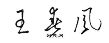 駱恆光王春風草書個性簽名怎么寫