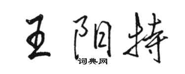 駱恆光王陽特行書個性簽名怎么寫